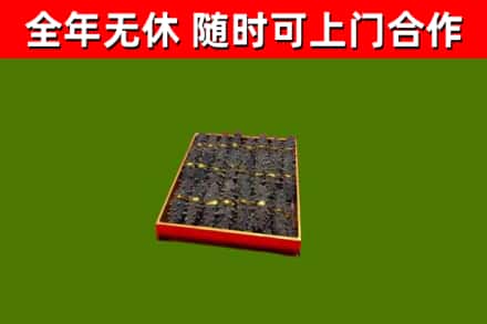 坊子回收海参